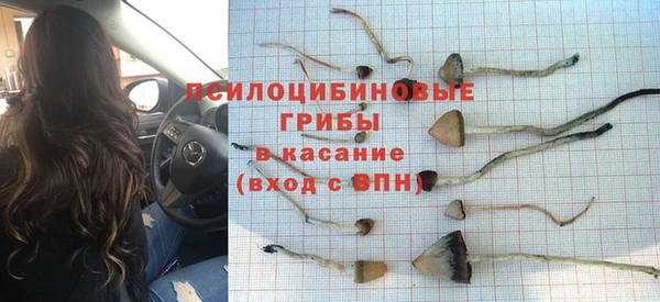 твердый Алзамай