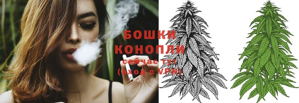 PSILOCYBIN Абинск