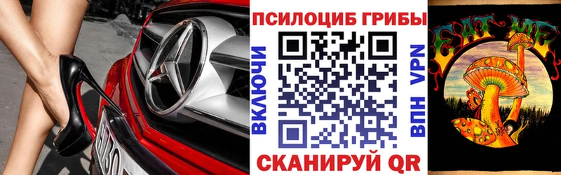 Галлюциногенные грибы прущие грибы  Азнакаево 